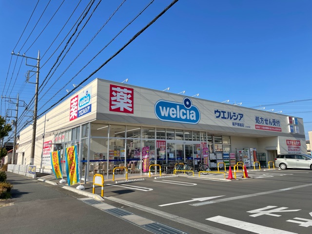 パローラ　ロゼッタ その他