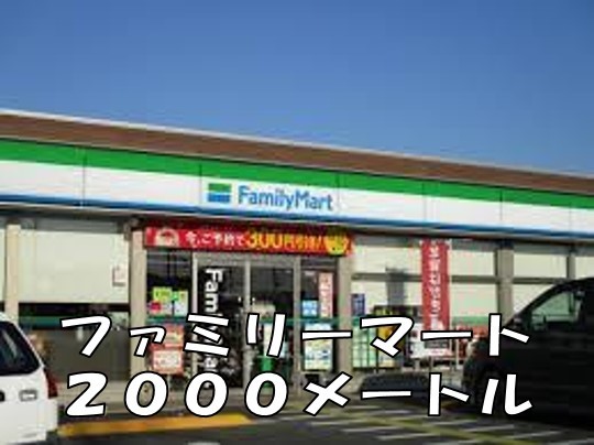 ドリームズ　カム　トゥルー　Ａ その他