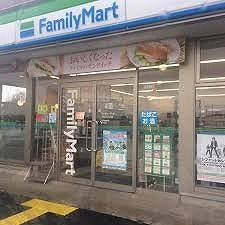 未来予想図Ⅱ その他