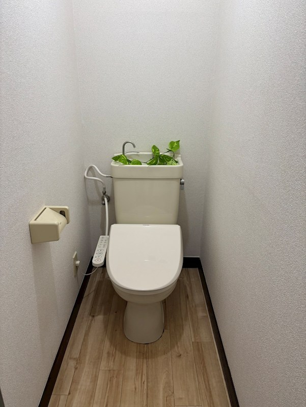 ウィンダム トイレ