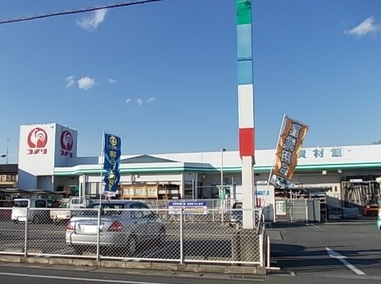 ドリーム その他