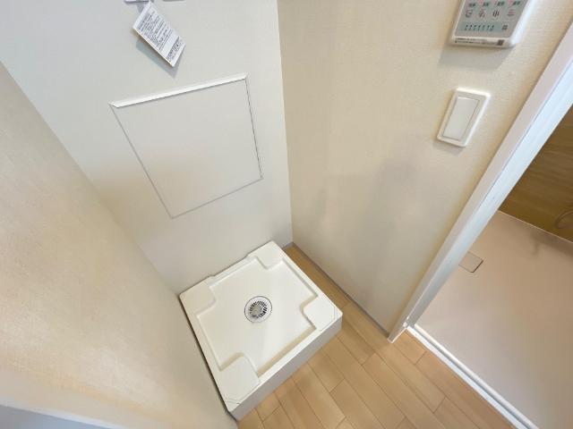 ブルーカーム その他