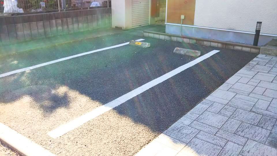 レオネクストストリームシャイン その他