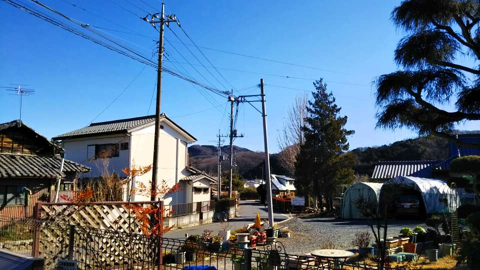 レオネクストストリームシャイン その他