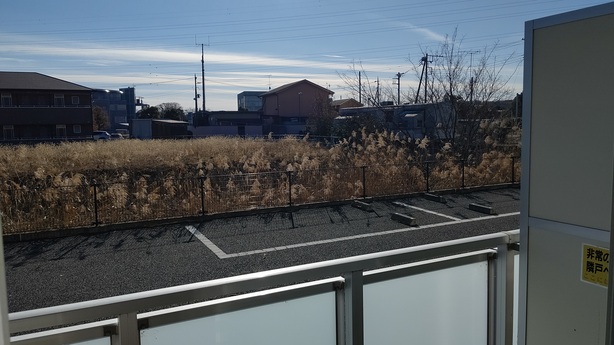 レオネクストアルト その他