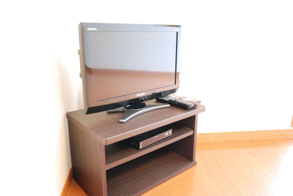 レオパレストシミ その他