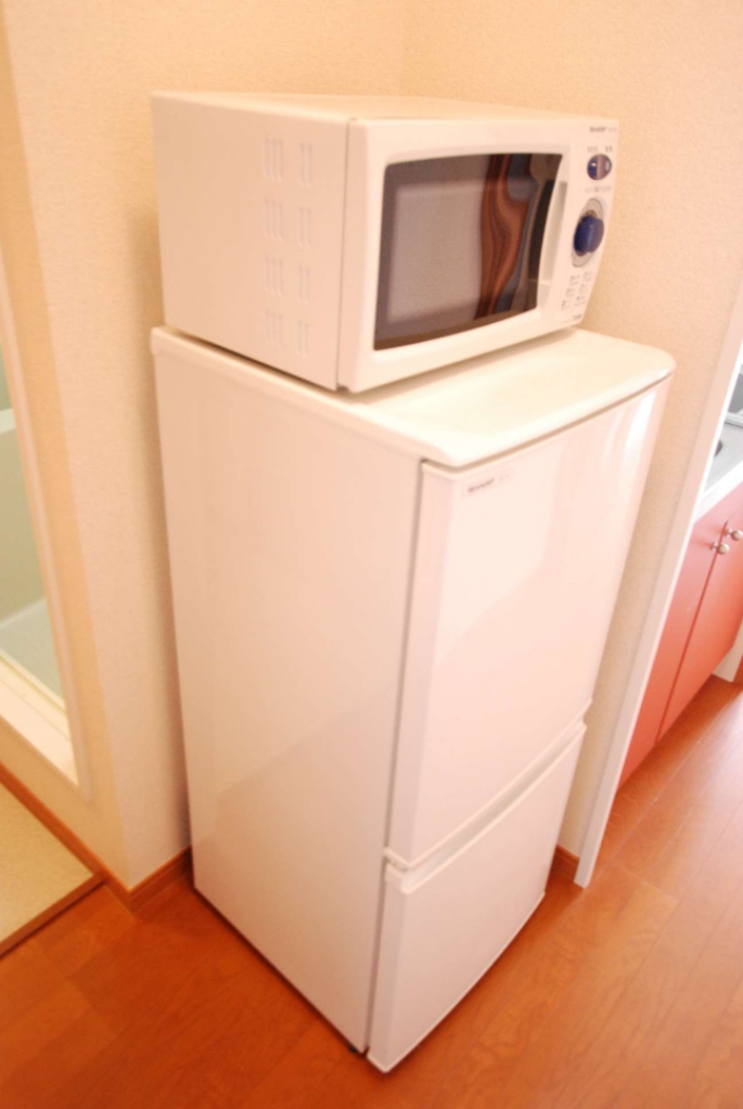 レオパレストシミ その他