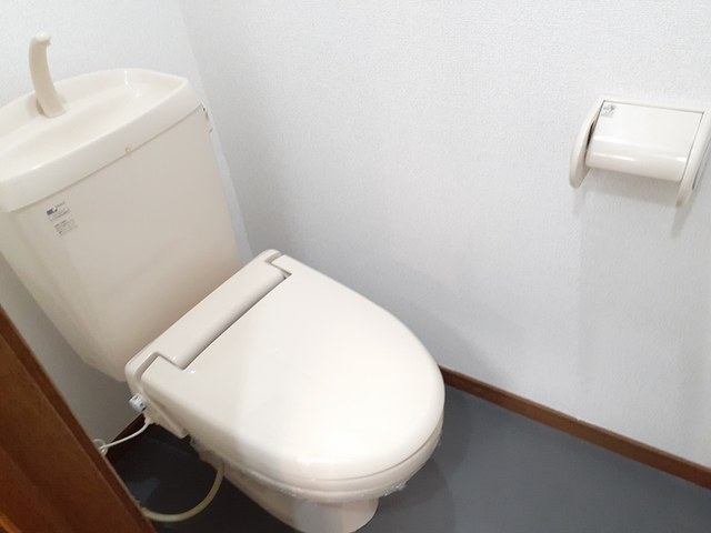 ティアラ トイレ