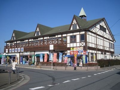 グリーチネＡ その他