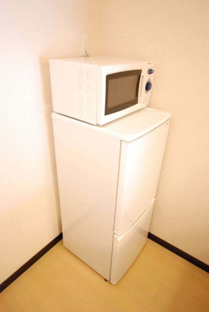 レオネクストレイルリンク その他