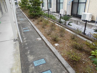 レオネクスト道 その他