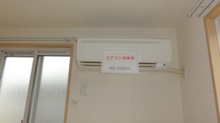 カステリーノⅡ その他4