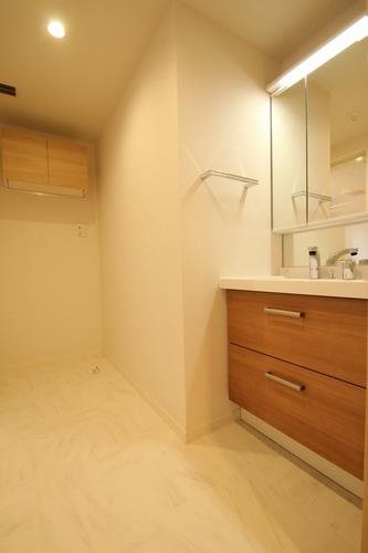 リフィシア   その他3