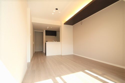 リフィシア  その他1