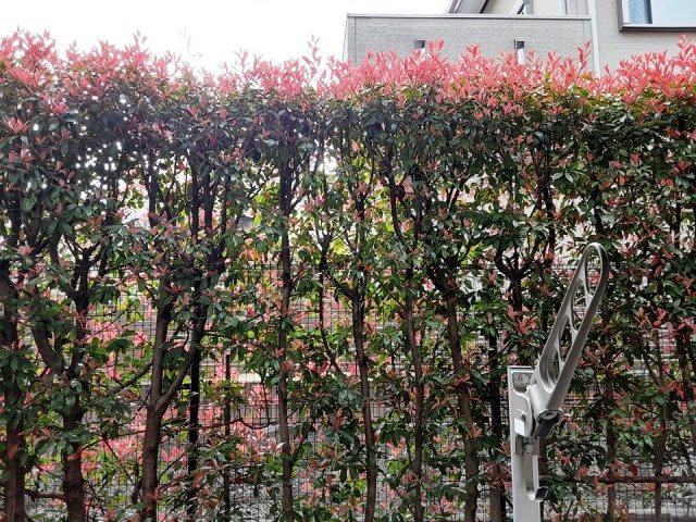 グランディール等々力 その他1