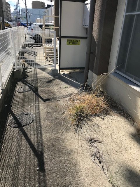 北口マンション その他3