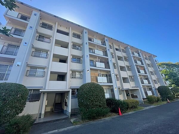 守山駅前東住宅３号　203号 203号室 間取り