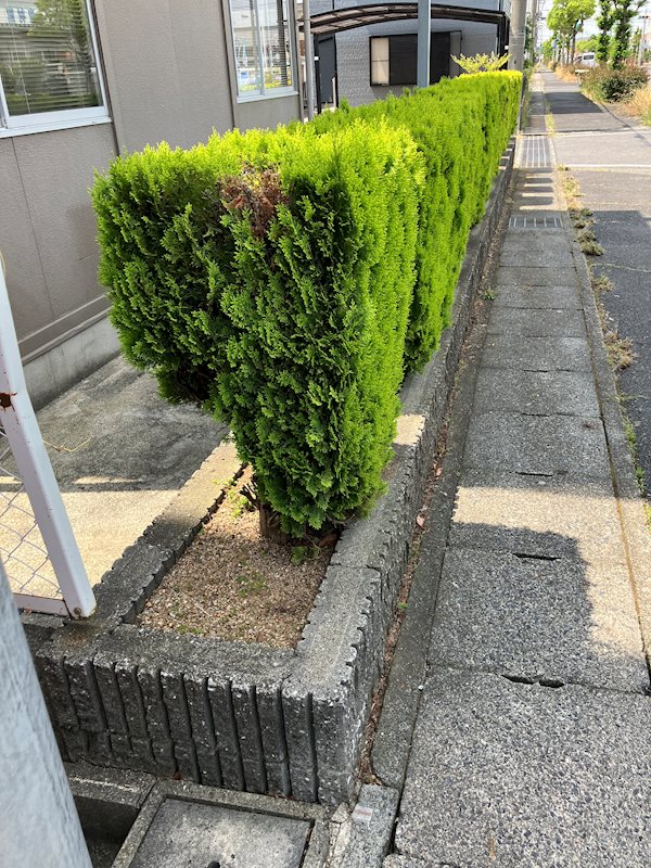 その他外観3