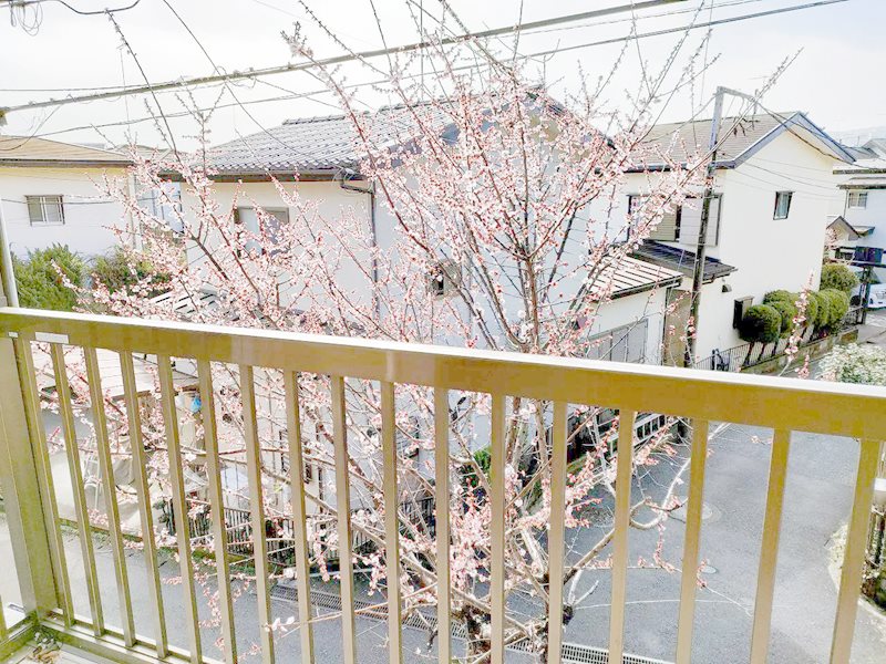 小比企町戸建  眺望
