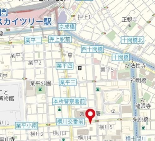 ES-Grande錦糸町 地図（共通）