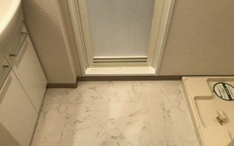 プレール・ドゥーク上野NORTH 洗面所