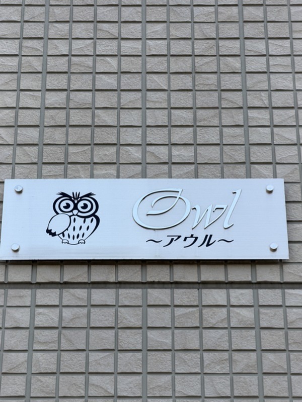 アウル その他