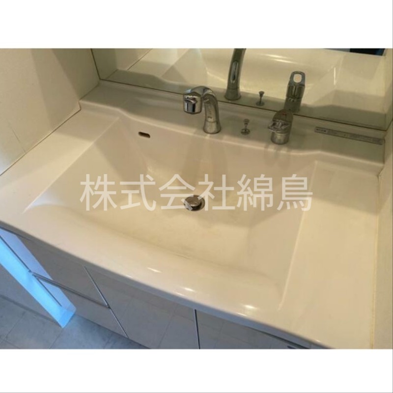 EXZA両国LIEN 洗面所