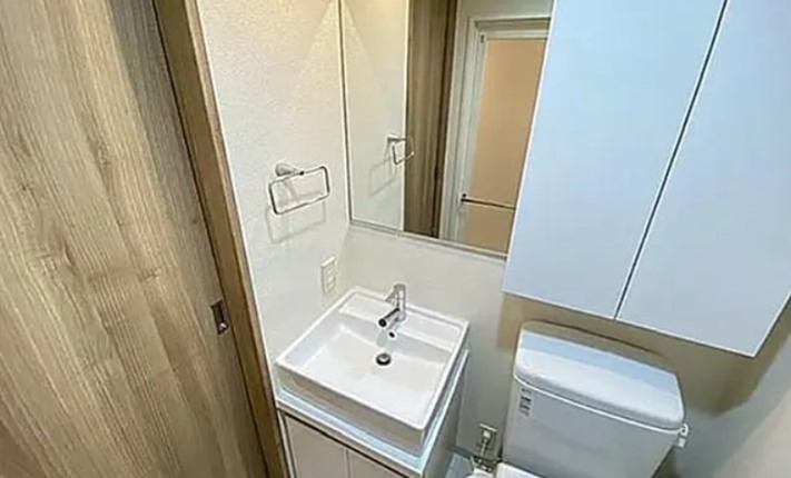 ロイズスクエア東陽町 洗面所