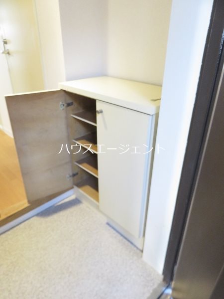 レピドール福田Ⅱ その他10