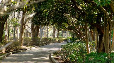 PARK MODERN西葛西 周辺画像7