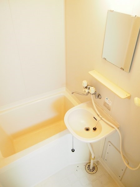 ラグジュアリーサンレイク 風呂画像