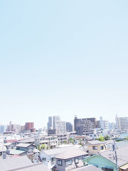 ベイ・ドルフィン その他5