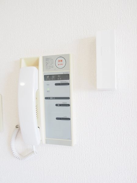 ベイ・ドルフィン その他6