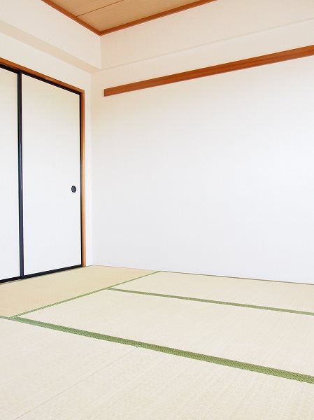 ベイ・ドルフィン その他7