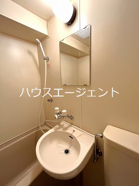シャガール その他1