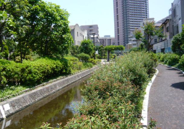 オリーブハウス門前仲町 周辺画像8