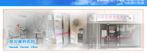 コーポナミキ 周辺画像7