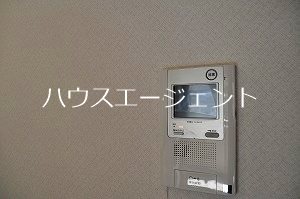 リガレーヴ その他2