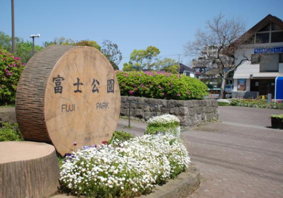 フォルテーヌ東葛西 周辺画像8