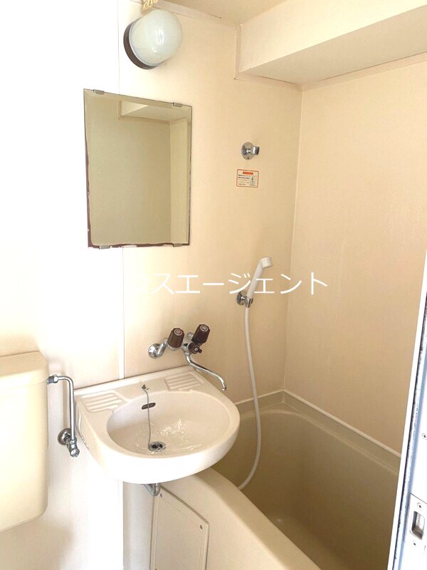 シャガール その他1