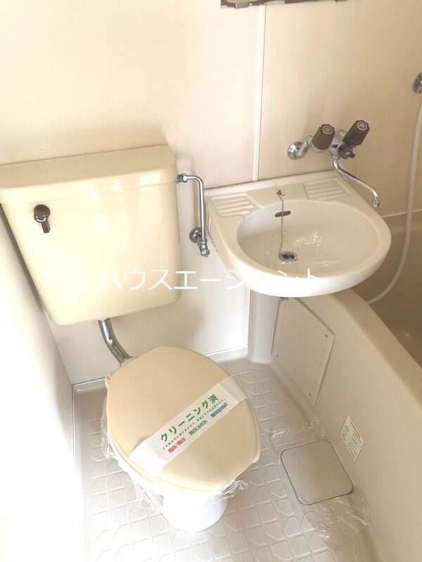 シャガール その他2