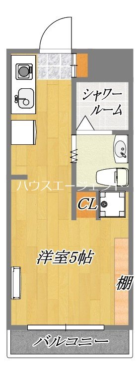 モア３ 313号室 間取り
