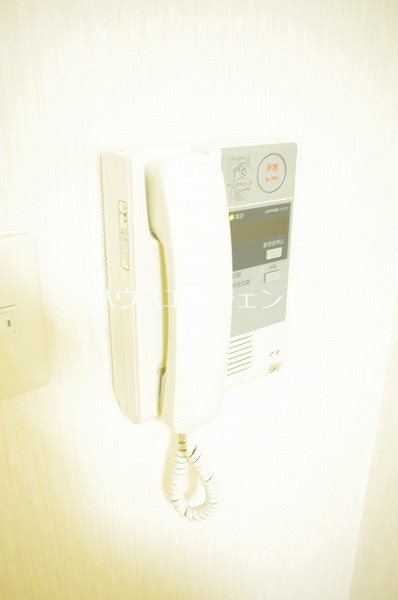 ラクダ その他2