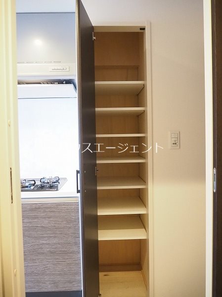 ダーシャモリ 玄関