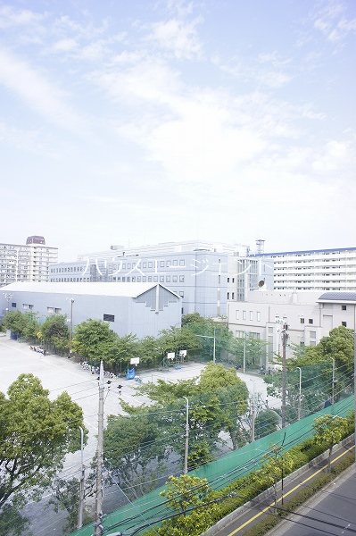 レピドール福田Ⅱ その他8