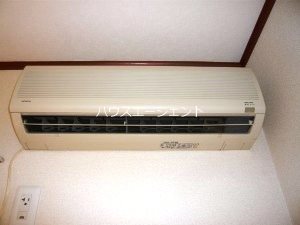 ツリーハウス その他7