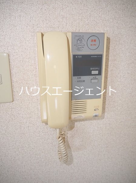 ラクダ その他2