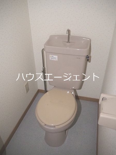 ラクダ その他3