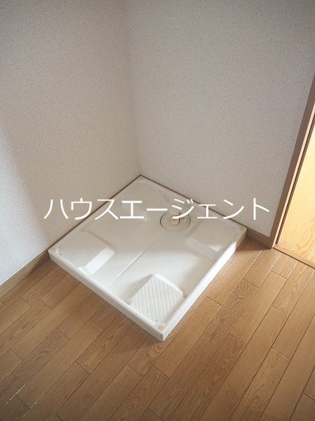 ラクダ その他4