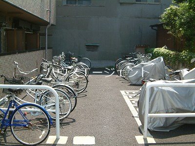 ラクダ その他外観2